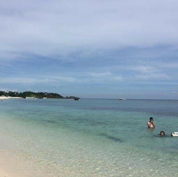 Meet your Posher, Alexis - Picture 1 of 1